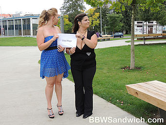 BBW Sandwich Picture