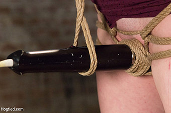 Hogtied Picture
