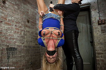 Hogtied Picture